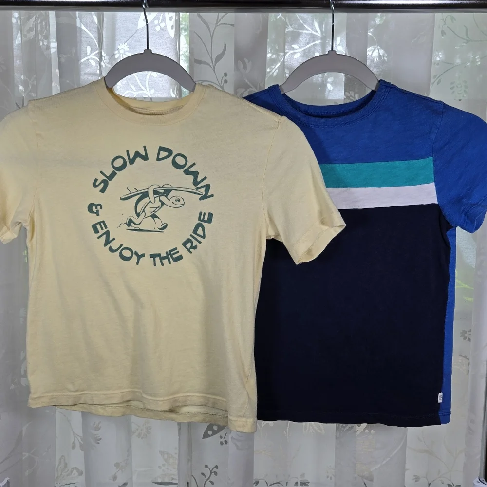 Set of 2 Boys Tees Size Small‎ – Old Navy Turtle & Gap Colorblock